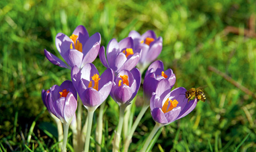 ��������� ����� � ������� � ������