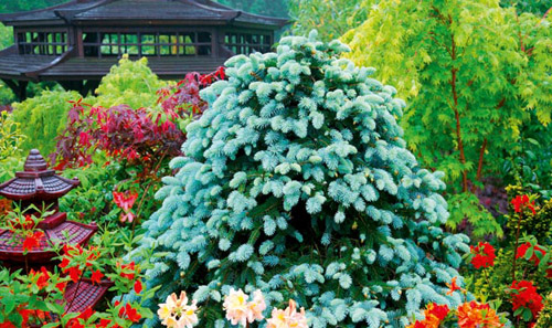 �������� ����������� ������ ���������