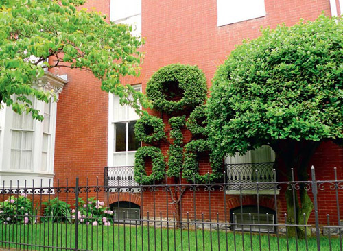 Вертикальные сады, зеленые стены