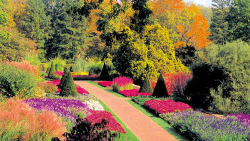 ��� � ������� ��������