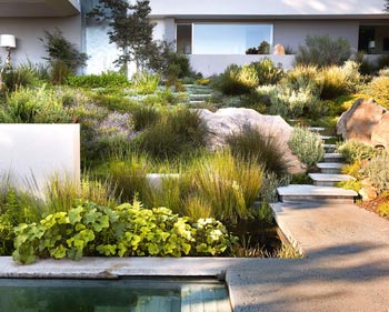 ����� � �����