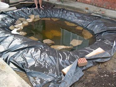 ���� � ������ �������������� � ��� ������� ��������� ����