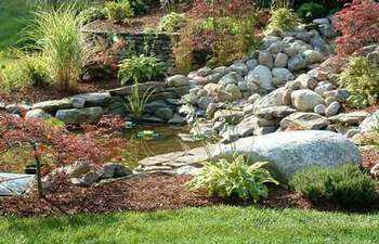 ����� � ���� �����������