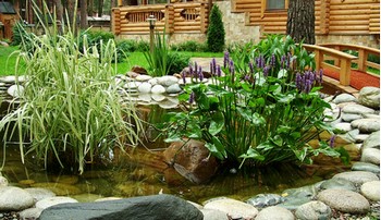 Несколько идей для оформления сада