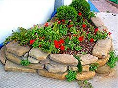 ��� ���������� ����������� ��������