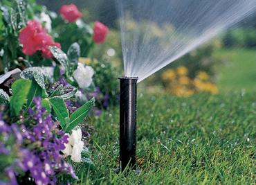 Распространенные системы полива газонов
