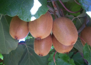 ���� � ����� ��������� ��� ������������ �������