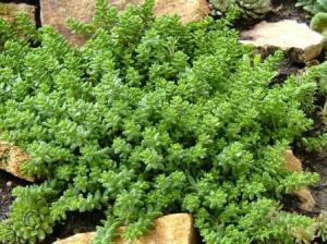 ������: �����������