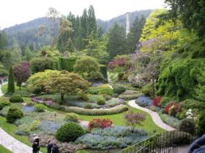 Особенности защиты сада от вредителей в осенний период